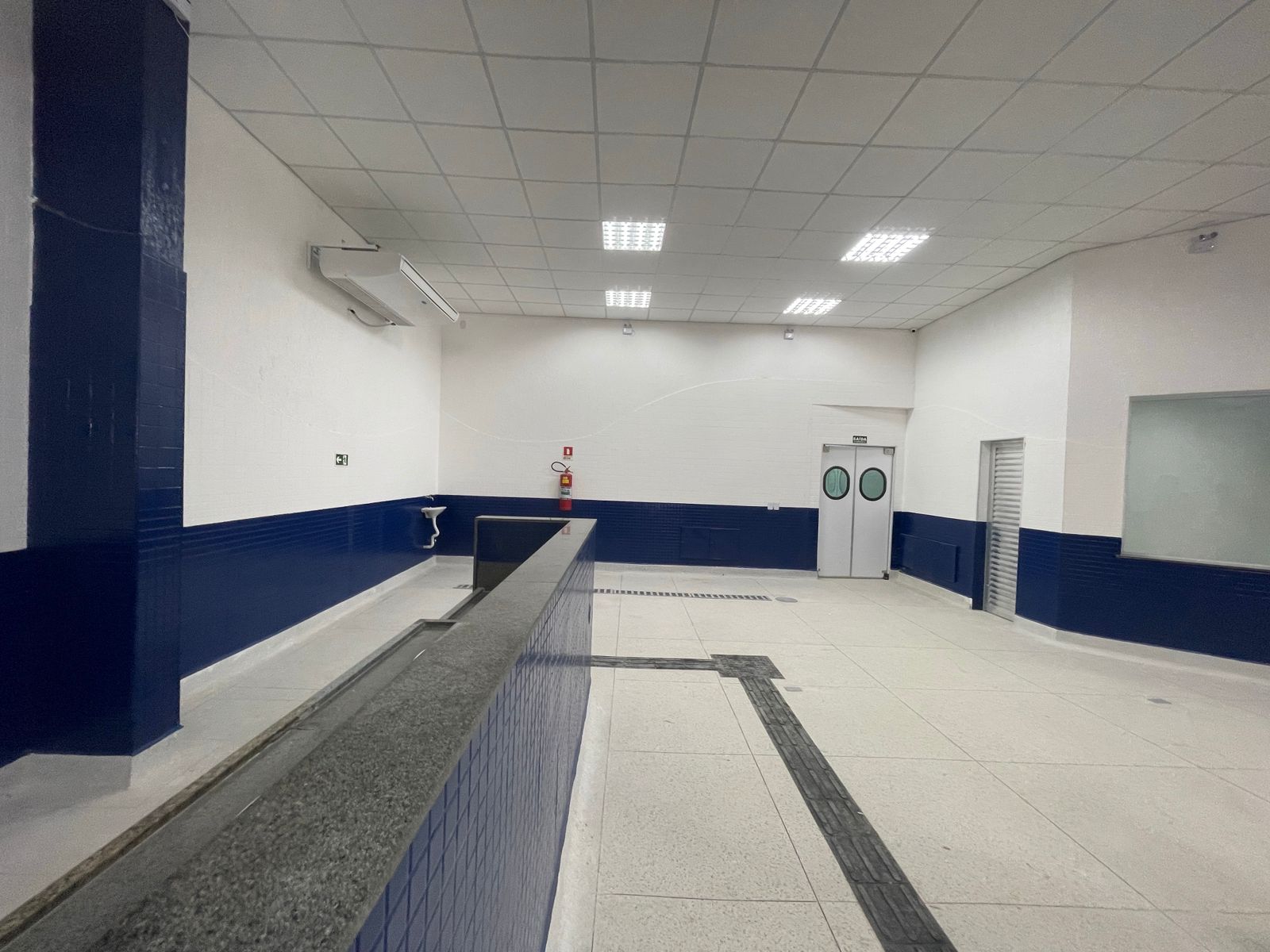 4207_10_1.jpeg