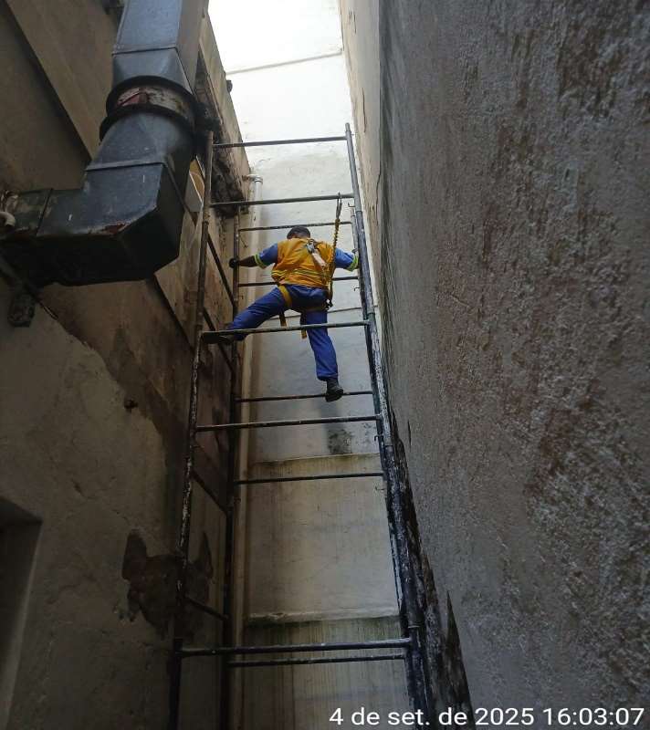 4362_8.jpg